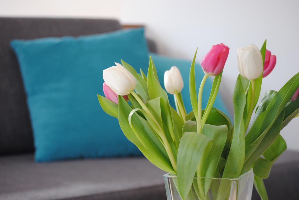 Apartment An Der Gramme Niederzimmern